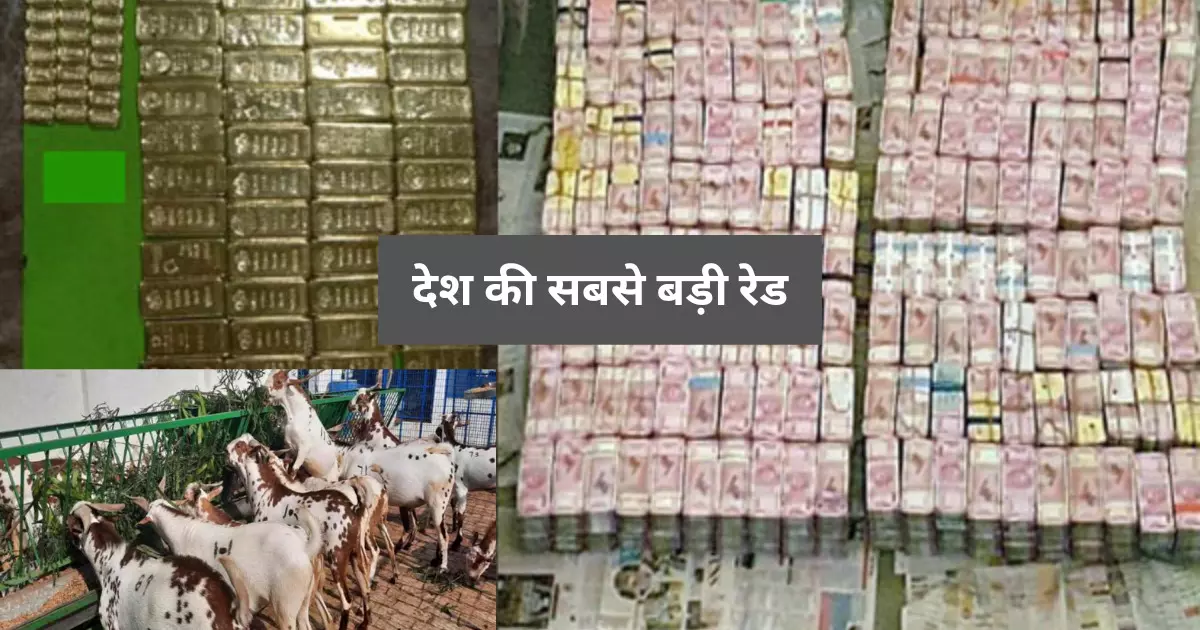 देश की सबसे बड़ी रेड: बकरी बेचने वाले के बेटे के घर पड़ा छापा तो मिली 163 करोड़ नकदी,100 किलो सोना